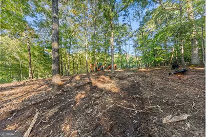 0 Old Cherokee Road, Cleveland, GA 30528 - Photo 27