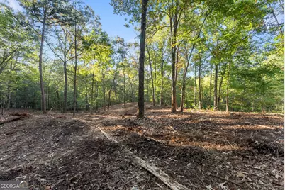 0 Old Cherokee Road, Cleveland, GA 30528 - Photo 25
