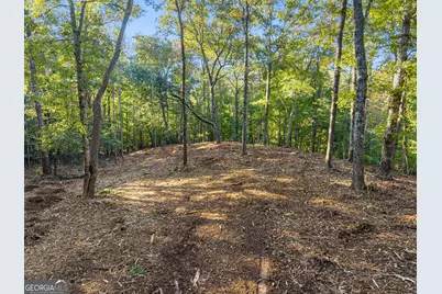 0 Old Cherokee Road, Cleveland, GA 30528 - Photo 19