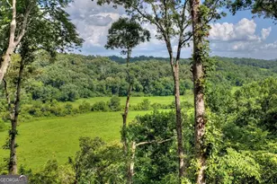 1729 Barnes Chapel Rd, Blue Ridge, GA 30513 - Photo 3