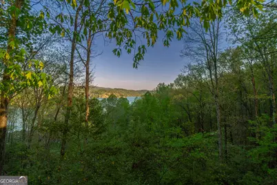 2814 &amp; 2816 Laurel Lodge Road, Clarkesville, GA 30523 - Photo 7