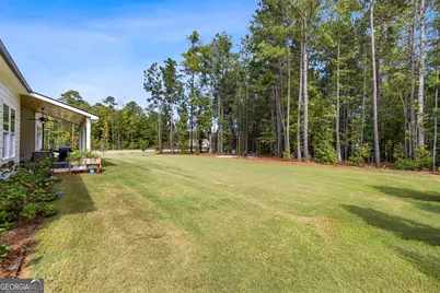69 Ryeland Drive, Senoia, GA 30276 - Photo 59