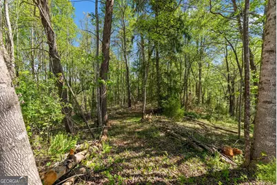153 Trackrock Gap Road, Blairsville, GA 30512 - Photo 45