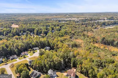1195 Otis Drive, Bethlehem, GA 30620 - Photo 7