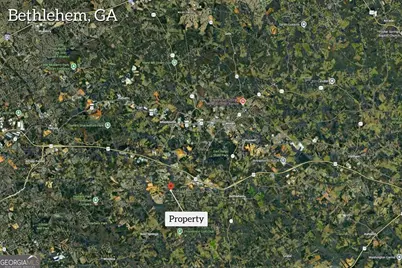 1195 Otis Drive, Bethlehem, GA 30620 - Photo 21