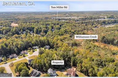 1195 Otis Drive, Bethlehem, GA 30620 - Photo 13