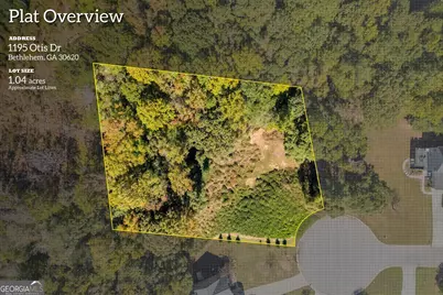 1195 Otis Drive, Bethlehem, GA 30620 - Photo 3