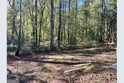 85 Maxwell Place, Newnan, GA 30265 - Photo 41