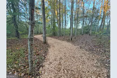 13D Rainey Valley Ln, Morganton, GA 30560 - Photo 29
