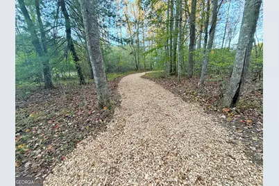 13D Rainey Valley Ln, Morganton, GA 30560 - Photo 3