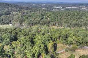 5 Tanglewood Ln, Blue Ridge, GA 30513 - Photo 33