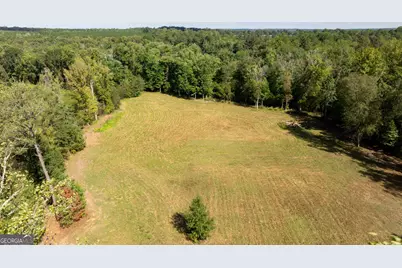 1750 Bishop Road, Luthersville, GA 30251 - Photo 185