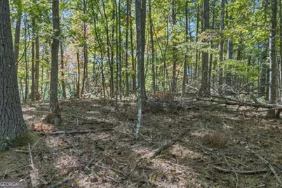 3 Ac Alicia Lane, Blairsville, GA 30512 - Photo 23