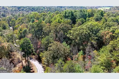 3 Ac Alicia Lane, Blairsville, GA 30512 - Photo 3