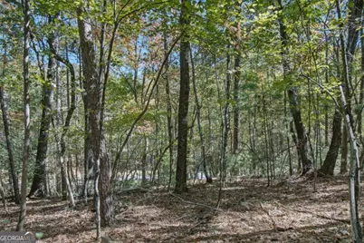 3 Ac Alicia Lane, Blairsville, GA 30512 - Photo 25