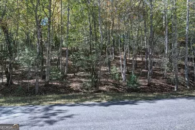 3 Ac Alicia Lane, Blairsville, GA 30512 - Photo 21