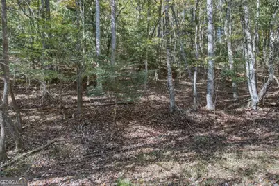 3 Ac Alicia Lane, Blairsville, GA 30512 - Photo 15