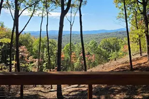 Lot 4 Hickory Hollow, Mineral Bluff, GA 30559 - Photo 5