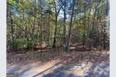 Lot 106 Red Maple Lane, Blairsville, GA 30512 - Photo 7