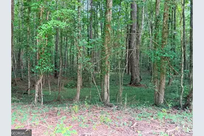 Lot 26 Skidder Way, Jasper, GA 30143 - Photo 9