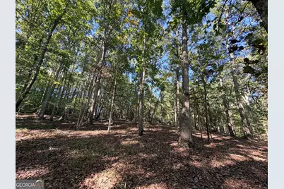 420 Moore Road, Rayle, GA 30660 - Photo 27