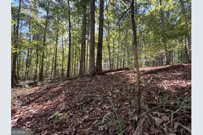 420 Moore Road, Rayle, GA 30660 - Photo 11