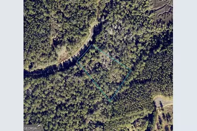 Lot 86 La Sole Lane, Waverly, GA 31565 - Photo 1