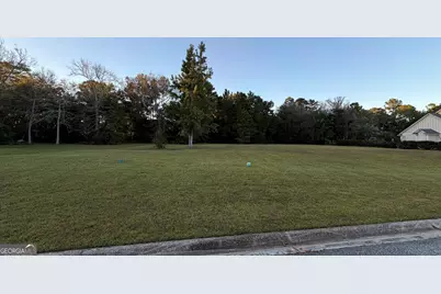 Lot 38 Manatee Court, Waverly, GA 31565 - Photo 11