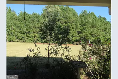 151 Begonia Court, Griffin, GA 30223 - Photo 29