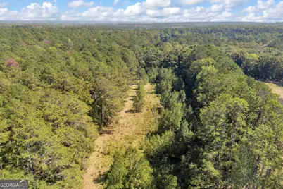 0 Ham Fork Road, Union Point, GA 30669 - Photo 17