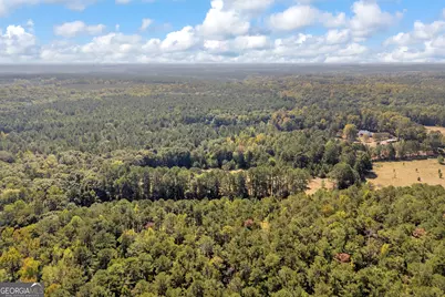 0 Ham Fork Road, Union Point, GA 30669 - Photo 7