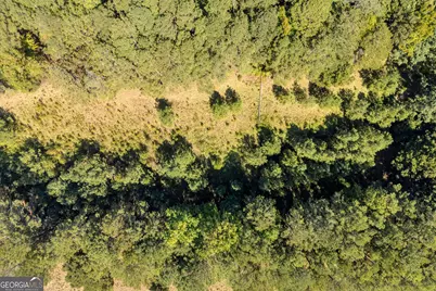 0 Ham Fork Road, Union Point, GA 30669 - Photo 15