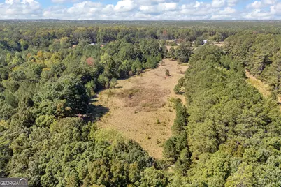 0 Ham Fork Road, Union Point, GA 30669 - Photo 3