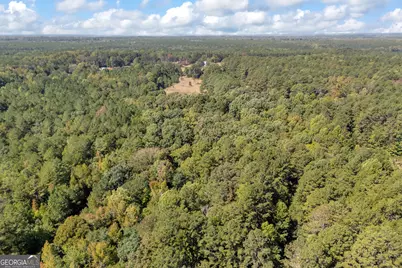 0 Ham Fork Road, Union Point, GA 30669 - Photo 19
