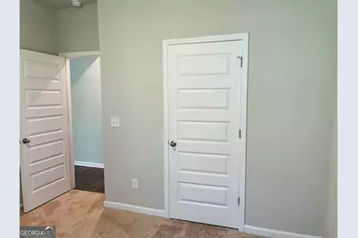 138 Silver Birch Pass, Newnan, GA 30265 - Photo 17
