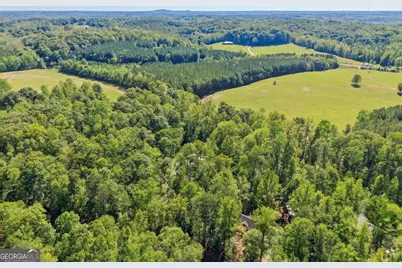 674 Gold Ridge Road, Dahlonega, GA 30533 - Photo 37