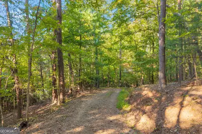380 White Pine Circle, Demorest, GA 30535 - Photo 79