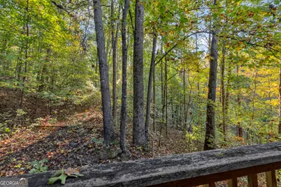 380 White Pine Circle, Demorest, GA 30535 - Photo 95