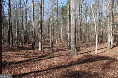 0 Greenesboro Road NW, Union Point, GA 30669 - Photo 25