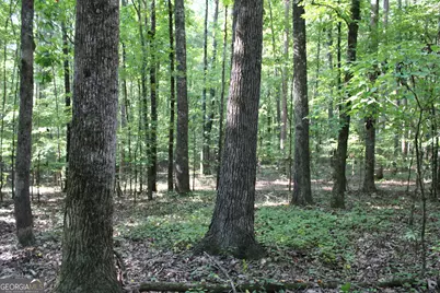 0 Greenesboro Road NW, Union Point, GA 30669 - Photo 5