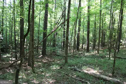 0 Greenesboro Road NW, Union Point, GA 30669 - Photo 29