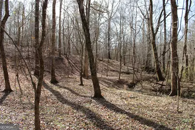 0 Greenesboro Road NW, Union Point, GA 30669 - Photo 21