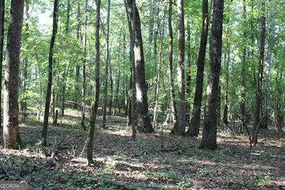 0 Greenesboro Road NW, Union Point, GA 30669 - Photo 11
