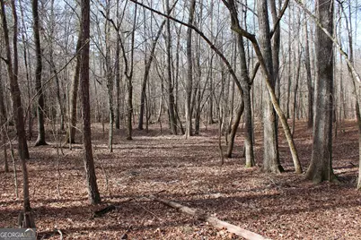 0 Greenesboro Road NW, Union Point, GA 30669 - Photo 27