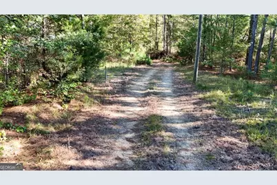 585 Berkeley Road, Carlton, GA 30627 - Photo 5