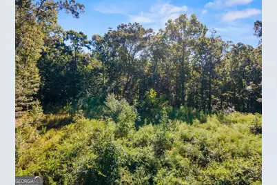 11300 Hutcheson Ferry Road, Chattahoochee Hills, GA 30268 - Photo 3