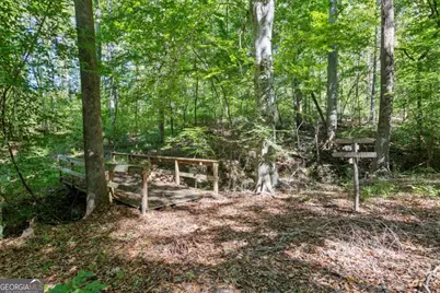 11300 Hutcheson Ferry Road, Chattahoochee Hills, GA 30268 - Photo 5
