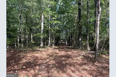 1284 Highway 18 W, Barnesville, GA 30204 - Photo 55