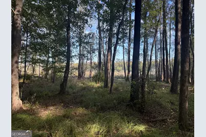 1284 Highway 18 W, Barnesville, GA 30204 - Photo 63