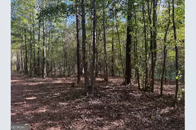 1284 Highway 18 W, Barnesville, GA 30204 - Photo 77